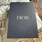 Dior B22 Black Silver 3SN231ZNG_H969 photo review