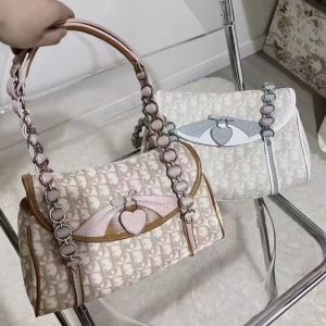 Dior Chain Bag Pink or Blue